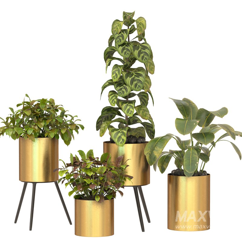 Metal Plant Set 05 - Image 7