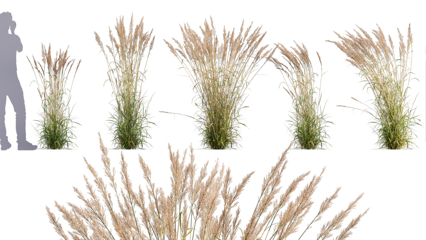 Collection 05 – Flower Garden - Image 6