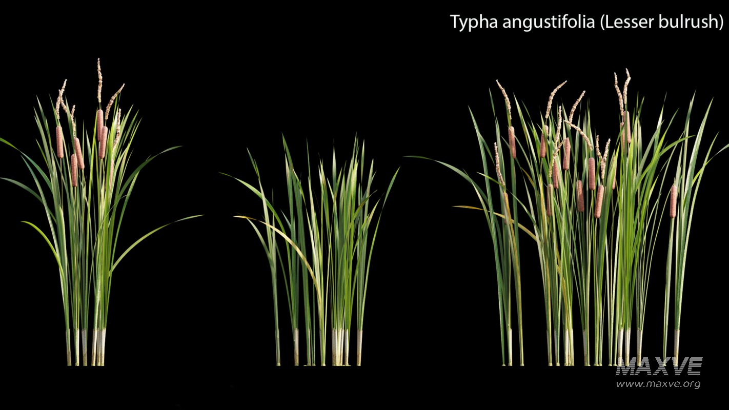 Collection 14 – English Garden - Image 39