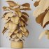 AV Indoor Plants Set 351 Dypsis Palm and Ficus Binnendijki and Ficus Cyathistipula and Elegant Monstera - Thumbnail 16