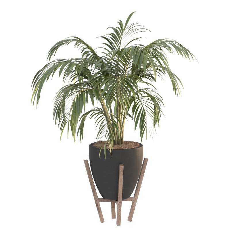 Black Metal Plant Set - Image 3