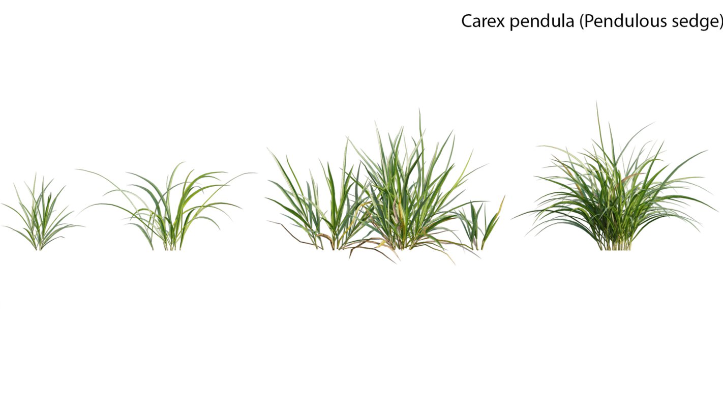 Collection 14 – English Garden - Image 15