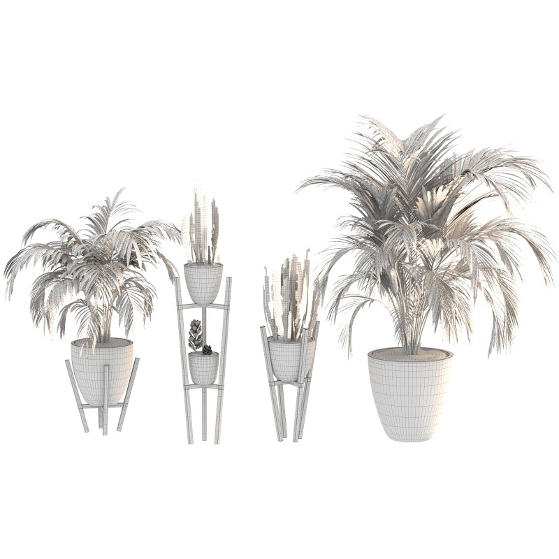 Black Metal Plant Set - Image 4