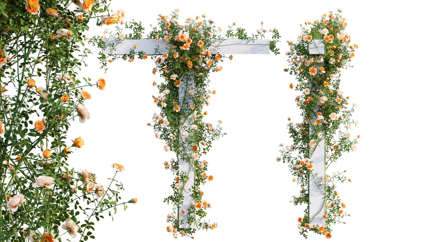 Collection 08 – Rose Garden - Image 41