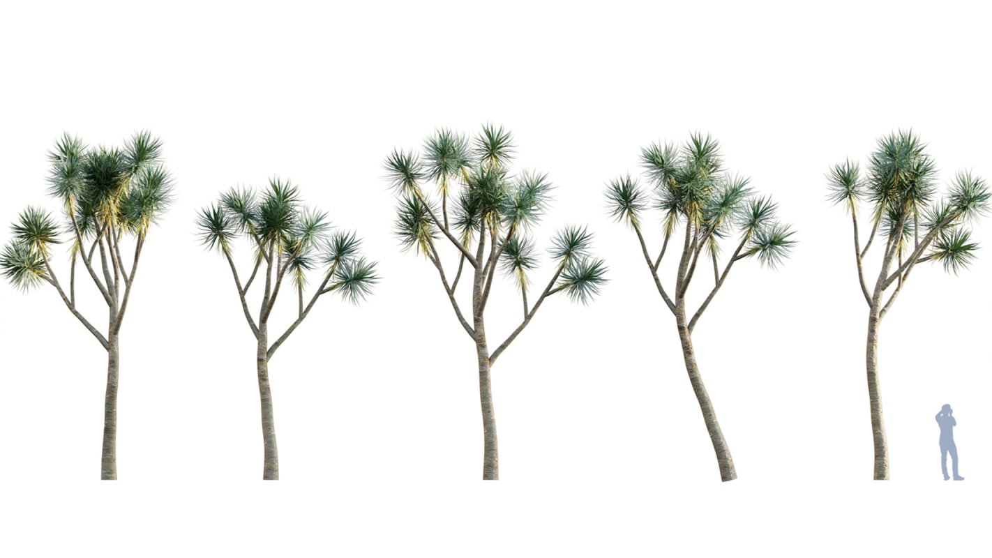 Collection 01 – Mediterrannean Garden (3D Model) - Image 10