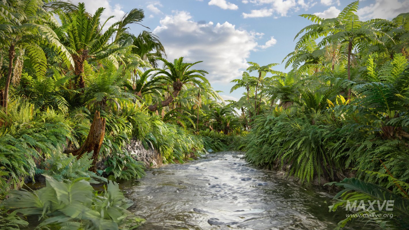 Collection 09 – Fern Garden - Image 1