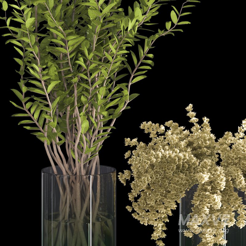 Branches with leaves in Glass Vase - Image 4