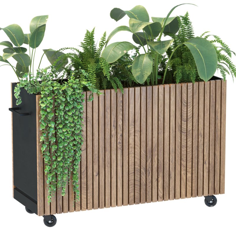 Plant Set 06 - Image 6