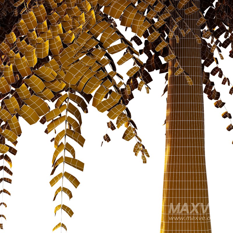 Different Trees 47 - Image 6