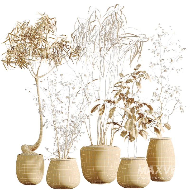 AV Indoor Plants Set 312 Japandi Decorative Minimalism Ficus Dracaena Marginata - Image 10