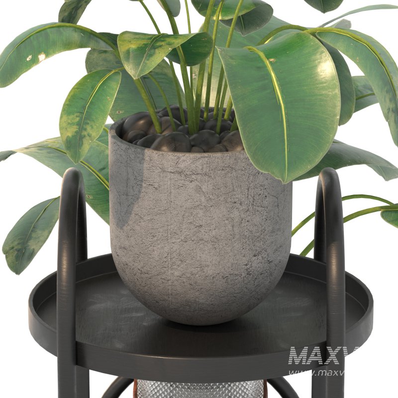 Metal Plant Set 03 - Image 7