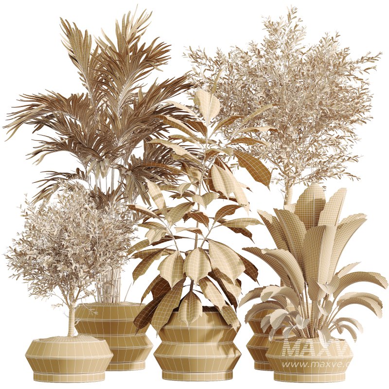 AV Indoor Plants Set 336 Olive and Areca Palm and Banana Nicolai and Ficus Fig - Image 5