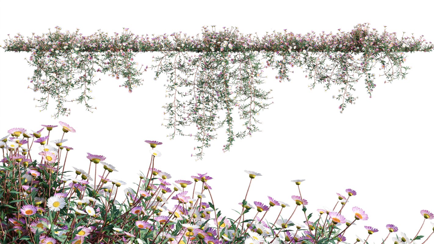 Collection 11 – Ground cover – Vines and Creepers - Image 25