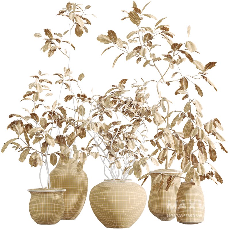 AV Indoor Plants Set 321 Japandi Decorative Minimalism Ficus Dracaena Marginata - Image 11