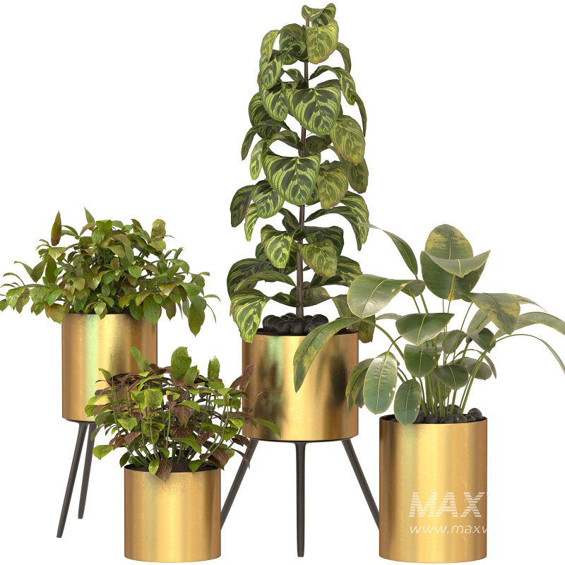 Metal Plant Set 05 - Image 5