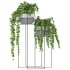 Metal Standing With Money Plant - Thumbnail 4
