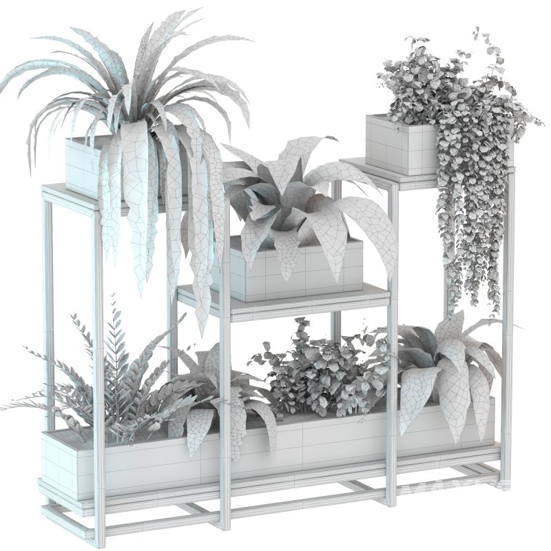 Plant Set 08 - Image 1