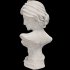 Neoclassical Woman Marble Bust - Thumbnail 4
