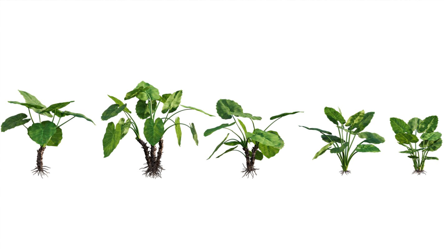 Collection 04 – Tropical Garden - Image 3