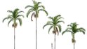 Collection 10 – Palm garden - Thumbnail 5
