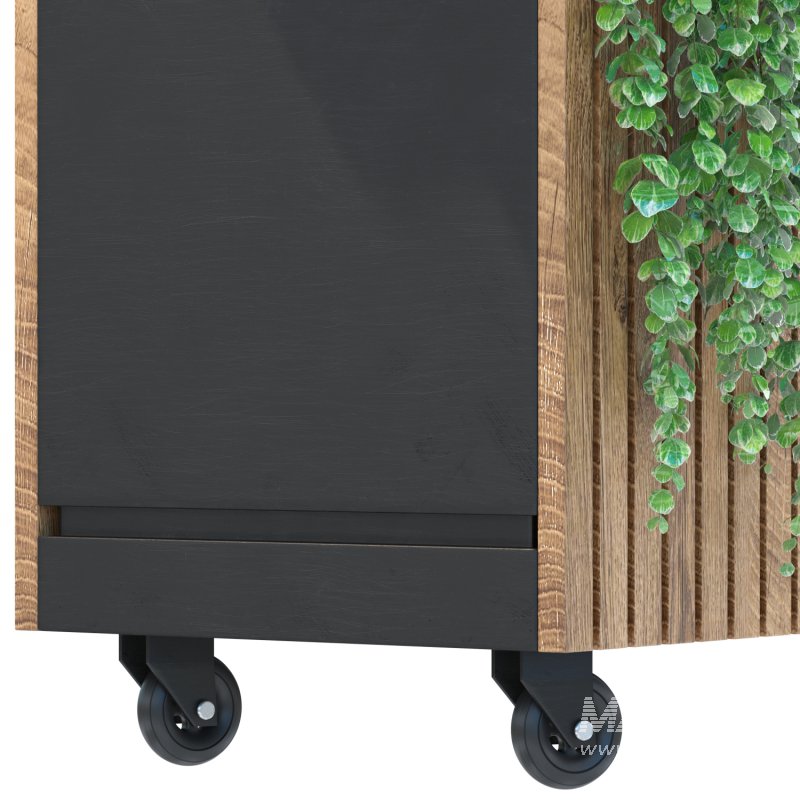 Plant Set 06 - Image 4