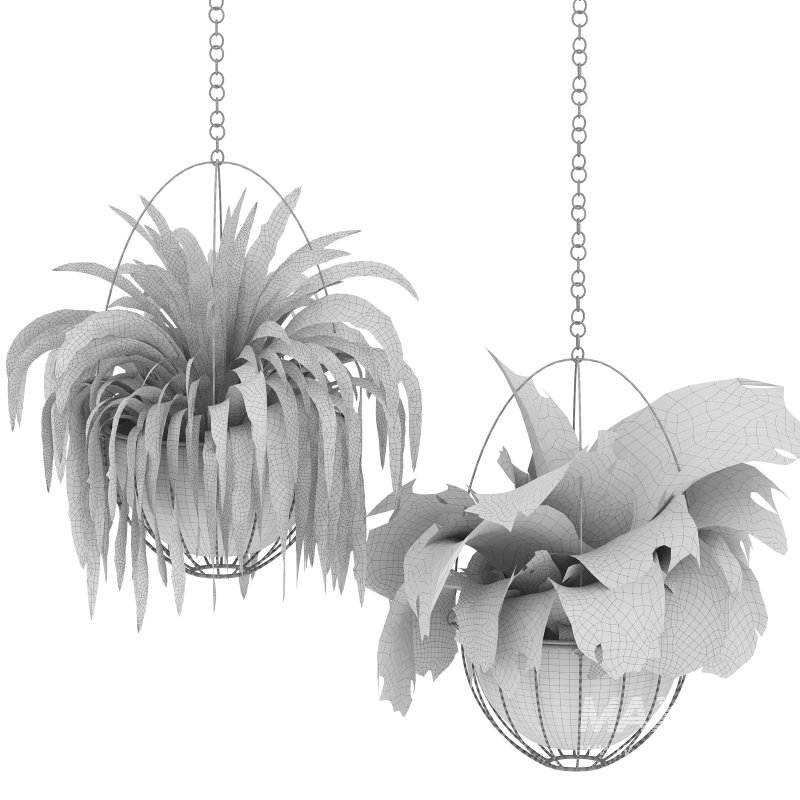 Metal Hanging Plants 05 - Image 1