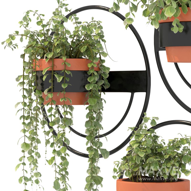 Modern Wall Planters With Geometric Designs - Image 8