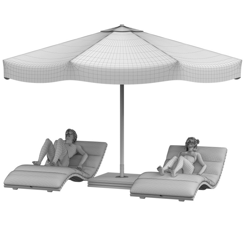 Sunbathing Lounge Duo - Image 4