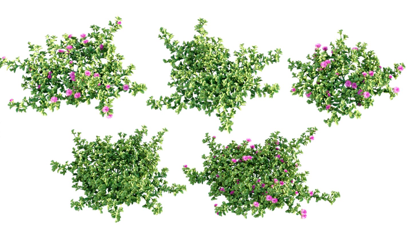 Collection 01 – Mediterrannean Garden (3D Model) - Image 11