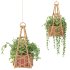 Boho Hanging Plants 05 - Thumbnail 3