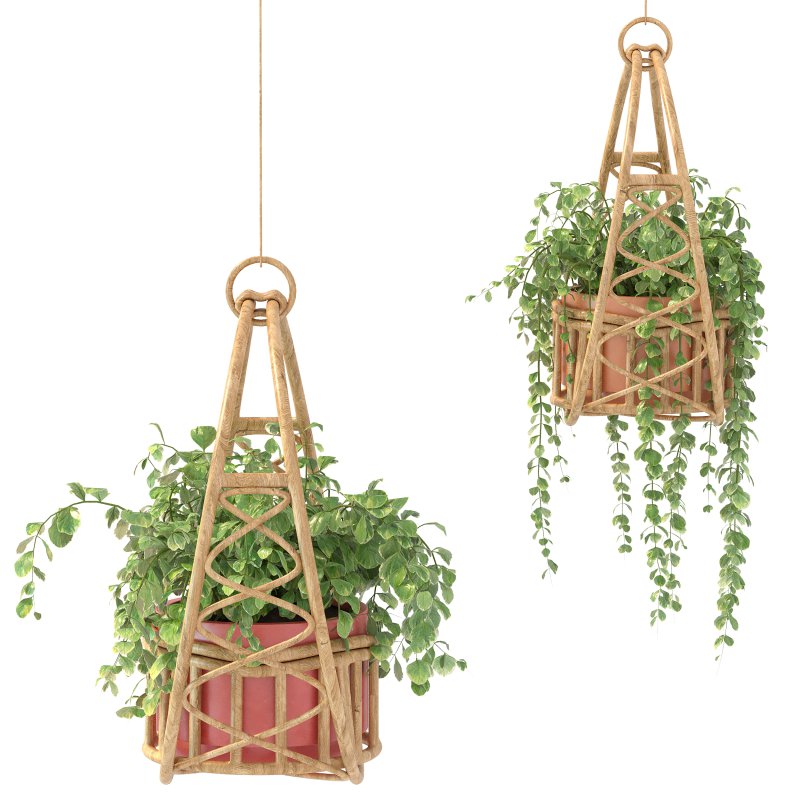 Boho Hanging Plants 05 - Image 3
