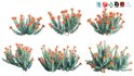 Collection 12 – Desert Garden - Thumbnail 28