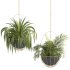 Metal Hanging Plants 05 - Thumbnail 3