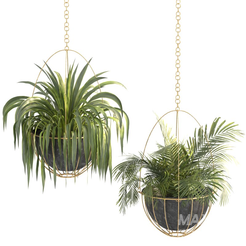 Metal Hanging Plants 05 - Image 3