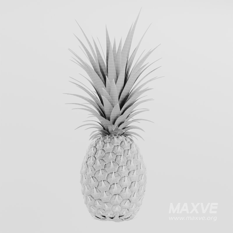 Ananas - Image 5