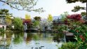 Collection 17 – Chinese garden - Thumbnail 1