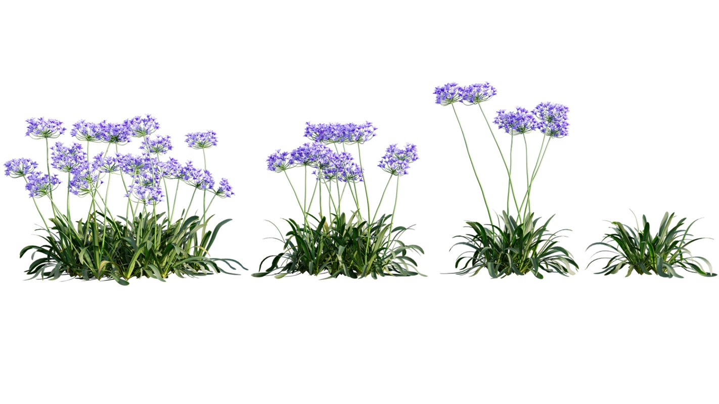 Collection 01 – Mediterrannean Garden (3D Model) - Image 3