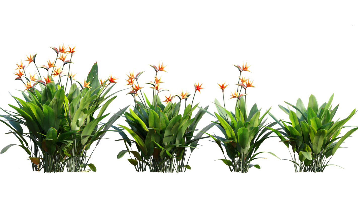 Collection 01 – Mediterrannean Garden (3D Model) - Image 7