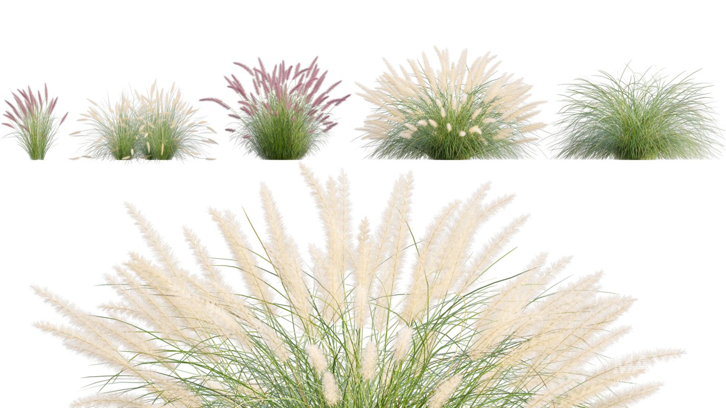 Collection 05 – Flower Garden - Image 9