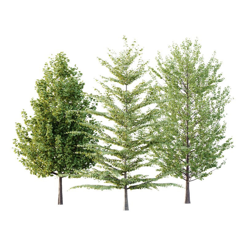 Different Trees 51 - Image 4