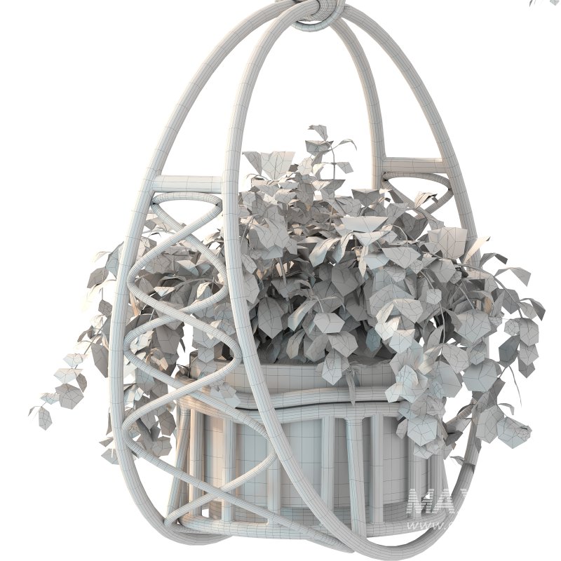 Boho Hanging Plants 05 - Image 6