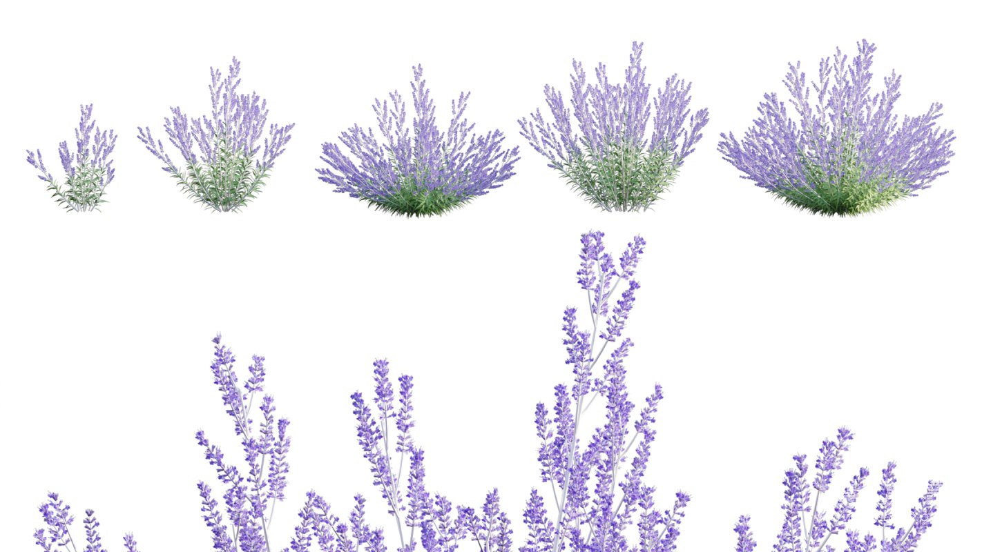 Collection 05 – Flower Garden - Image 8