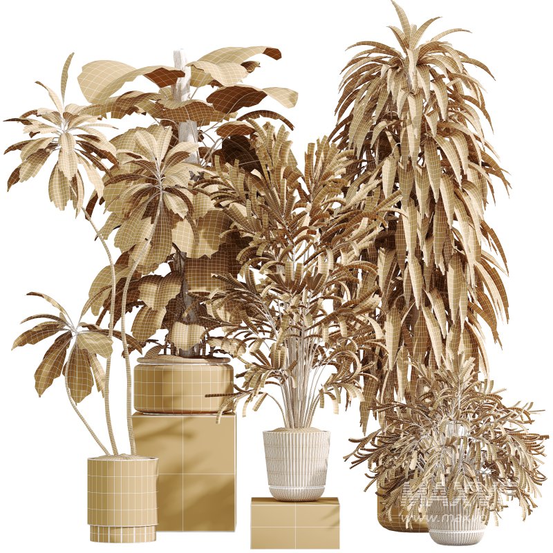 AV Indoor Plants Set 351 Dypsis Palm and Ficus Binnendijki and Ficus Cyathistipula and Elegant Monstera - Image 18