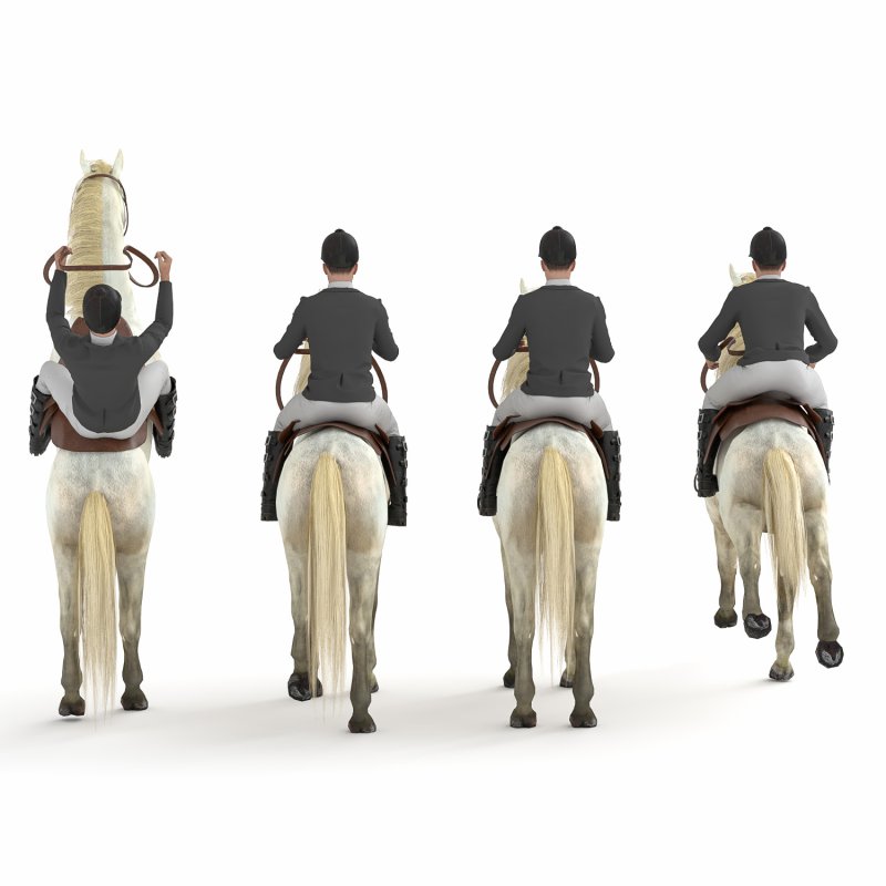 Horse rider 04 poses - Image 1