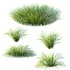 ntal grasses are widely used in landscaping for ground cover, edging, and creating natural textures in gardens. The set offers realistic density and organic variation, making it ideal for exterior design, botanical compositions, and architectural visualizations. With clean topology and 4K textures, these models ensure both high performance and lifelike detail. - Thumbnail 5