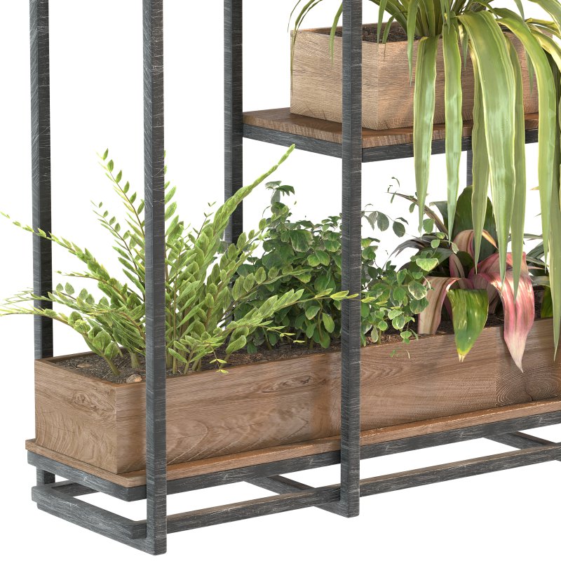 Plant Set 07 - Image 5