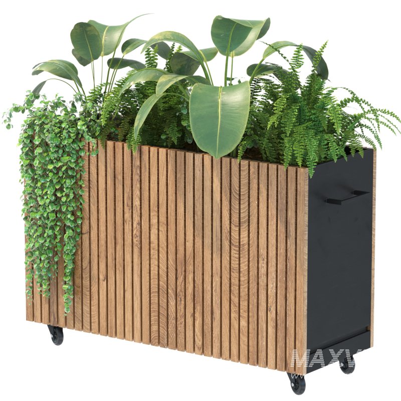 Plant Set 06 - Image 5