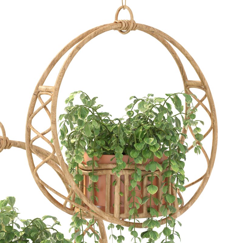 Boho Hanging Plants 05 - Image 8