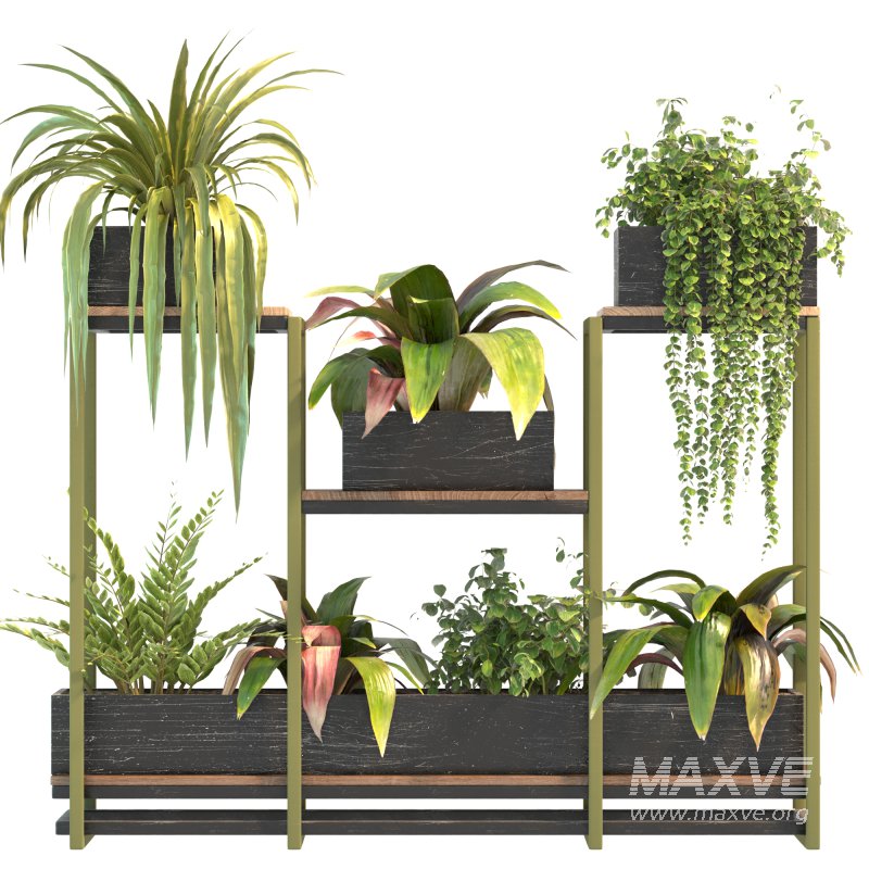 Plant Set 08 - Image 3