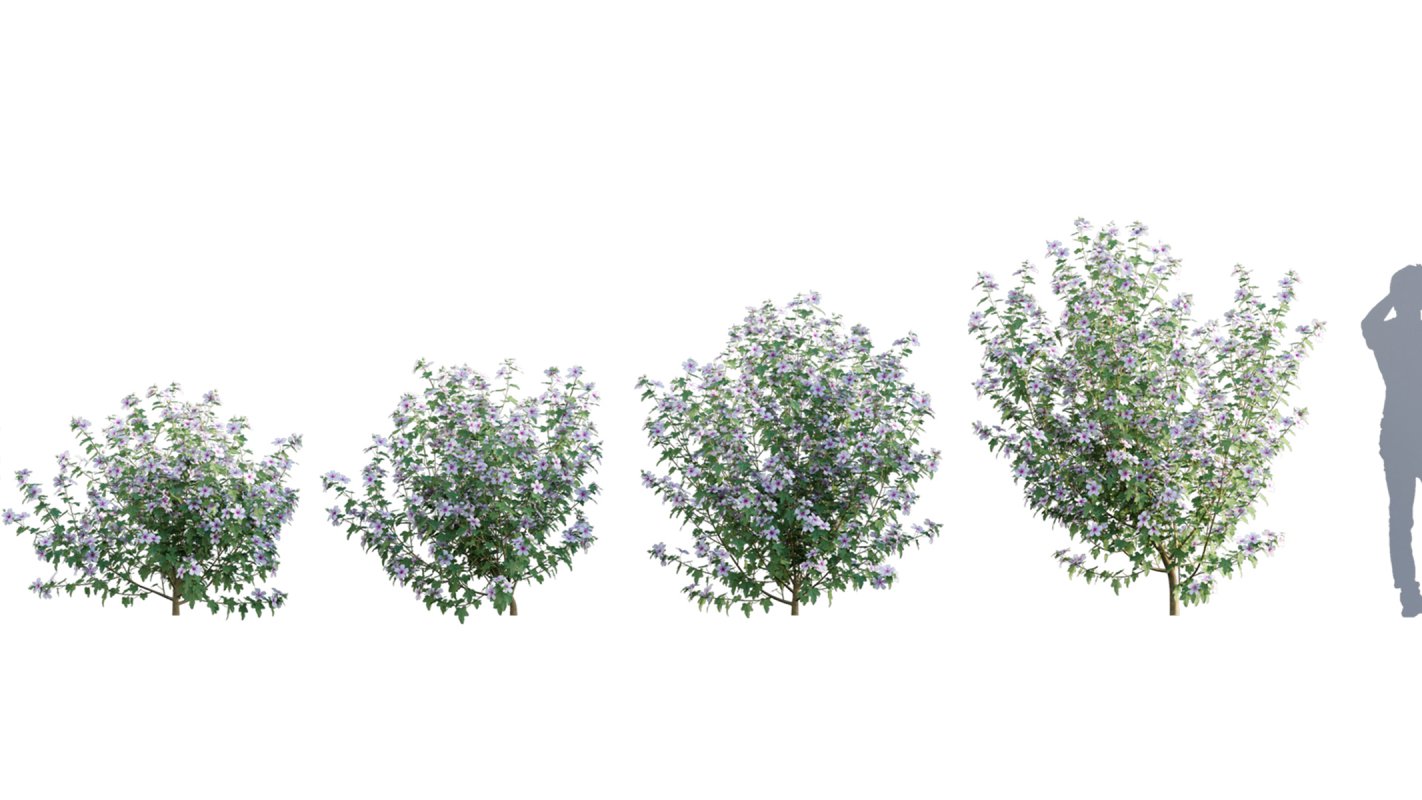Collection 01 – Mediterrannean Garden (3D Model) - Image 5